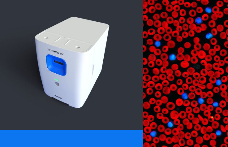 Today Football World Cup Match